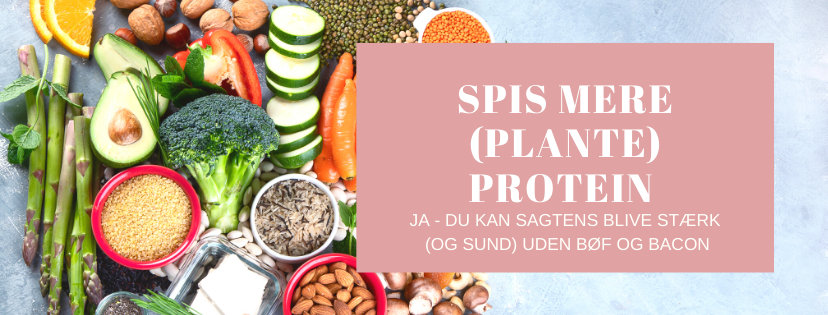 Spis mere protein - Rikke Søndergaard